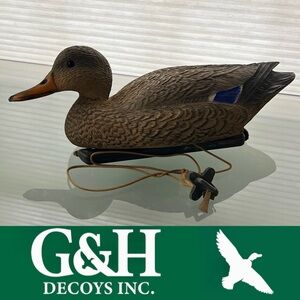 🦆Mallard Hen Hollow Hunting Duck Decoy Blue on Wing | G&H DECOYS HENRYETTA OKLA